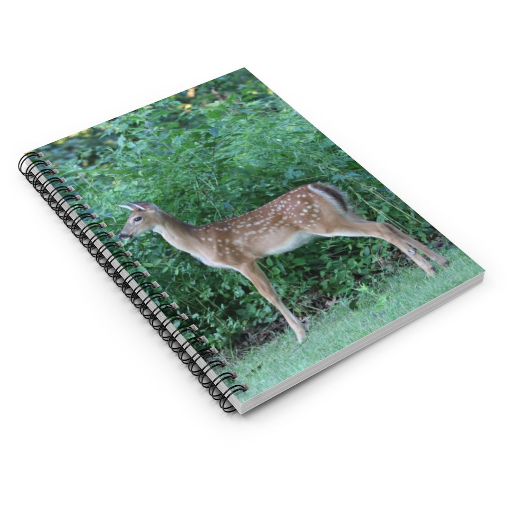 NN Spiral Notebook - Ruled Line One Tall Fawn