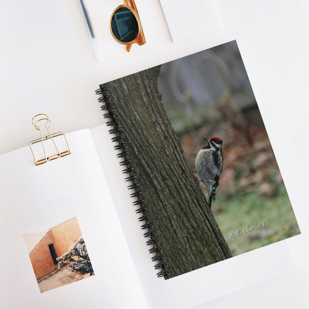 Spiral Notebook - Ruled Line May Be Yellow-Bellied Sapsucker