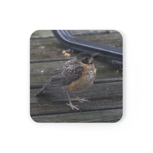 NN Cork Back Coaster Hello Baby Robin