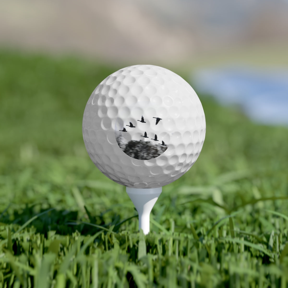 NN Golf Balls, 6pcs Flying Flock