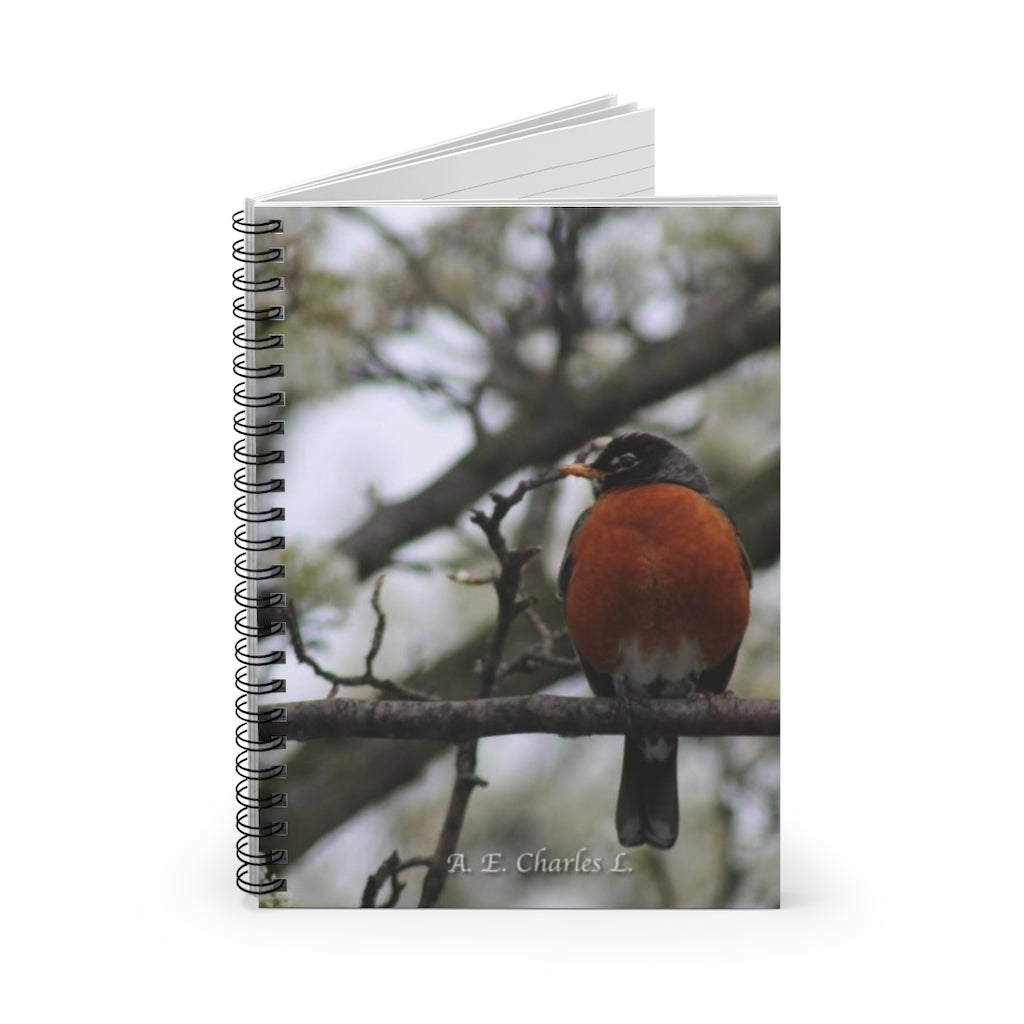 Spiral Notebook - Ruled Line Robin (IOT)