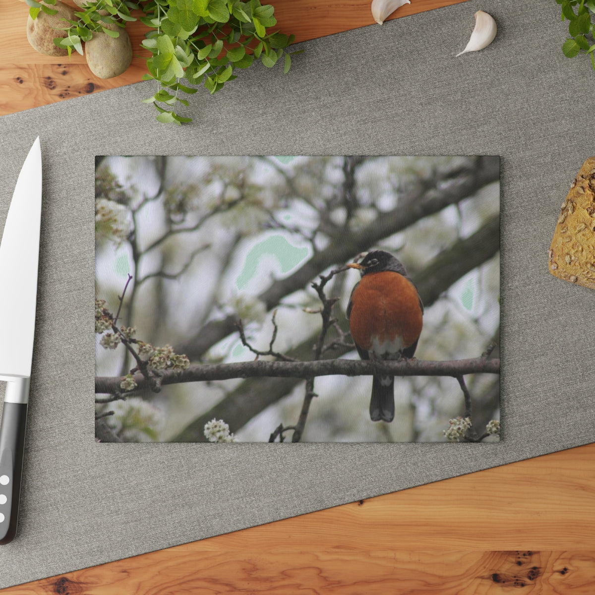 NN Glass Cutting Board Robin (IOT)