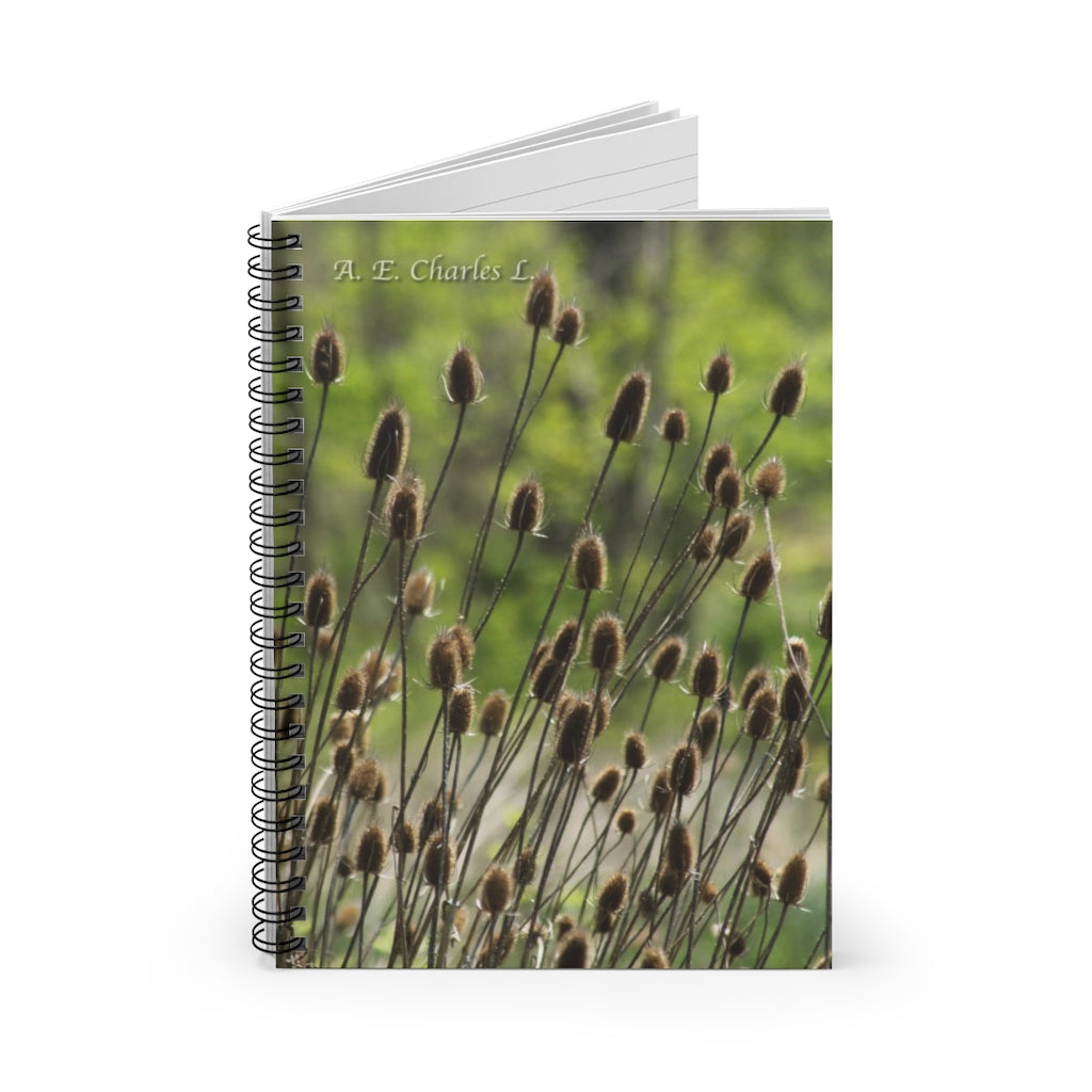 Spiral Notebook - Ruled Line Little Browns