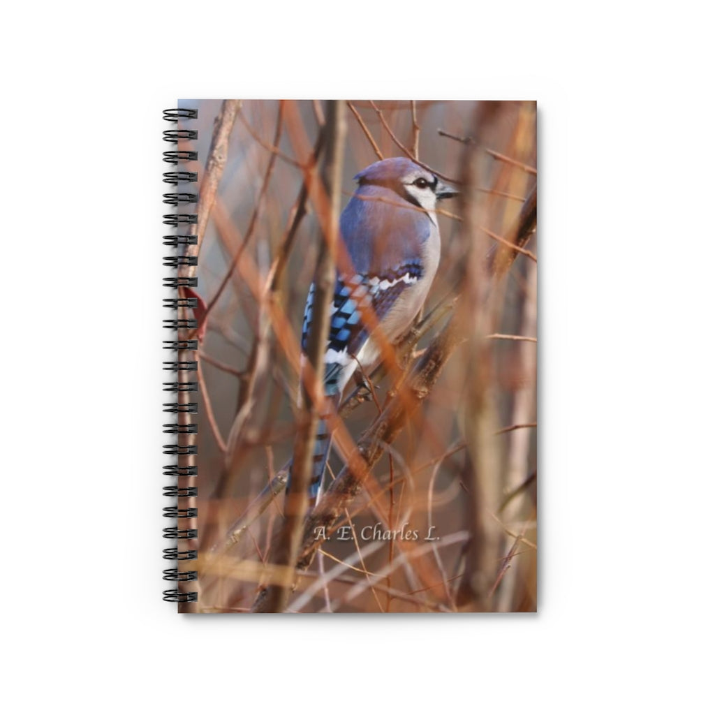 Spiral Notebook - Ruled Line Blue Jay