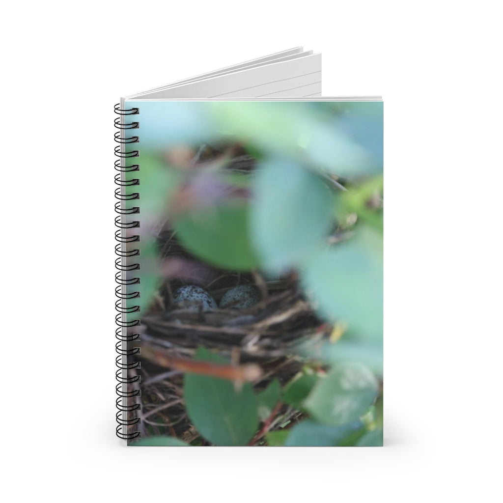 NN Spiral Notebook - Ruled Line Cardinal Eggs