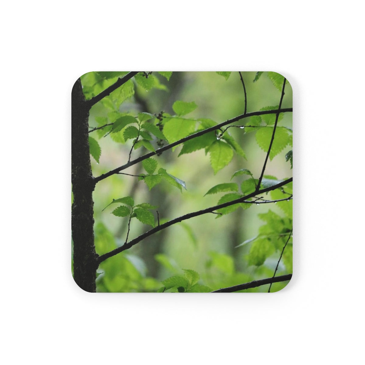 NN Cork Back Coaster Wet Little Stick Branches