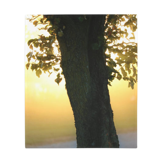 NN Plush Fleece Blanket Tree In Front Of Sunlight