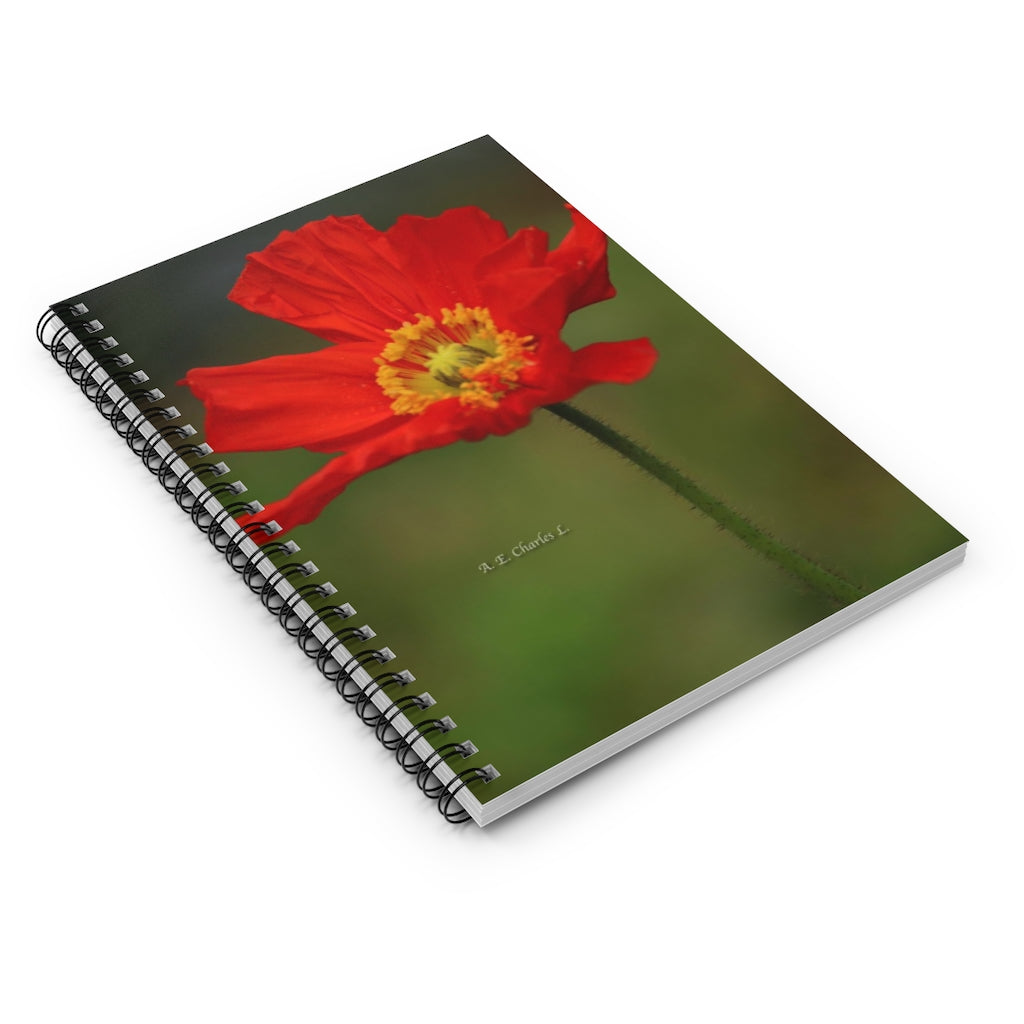 Spiral Notebook - Ruled Line Orange Flower