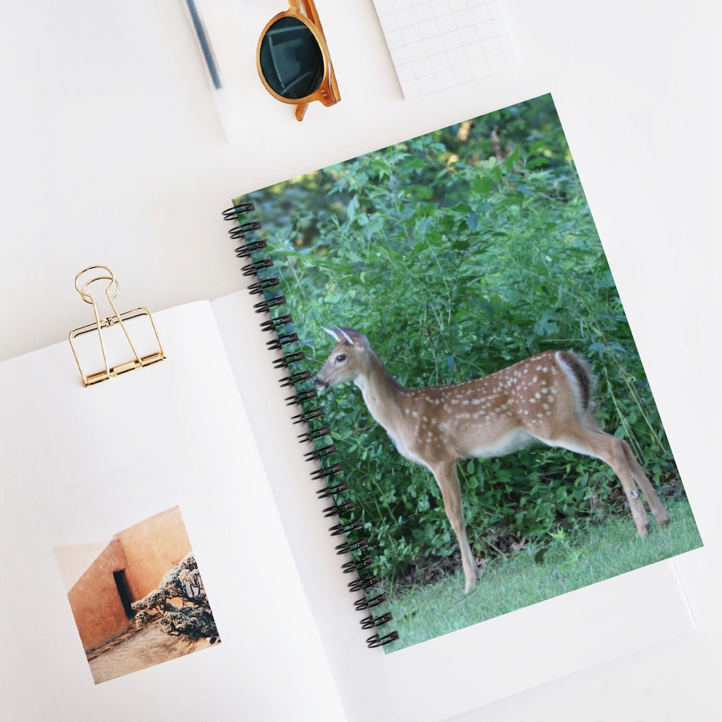 NN Spiral Notebook - Ruled Line One Tall Fawn