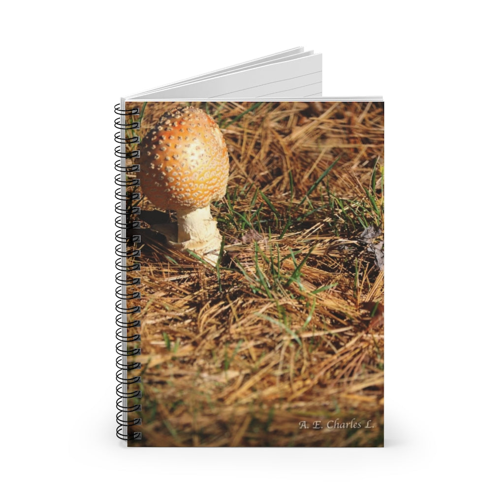 Spiral Notebook - Ruled Line High Mushroom