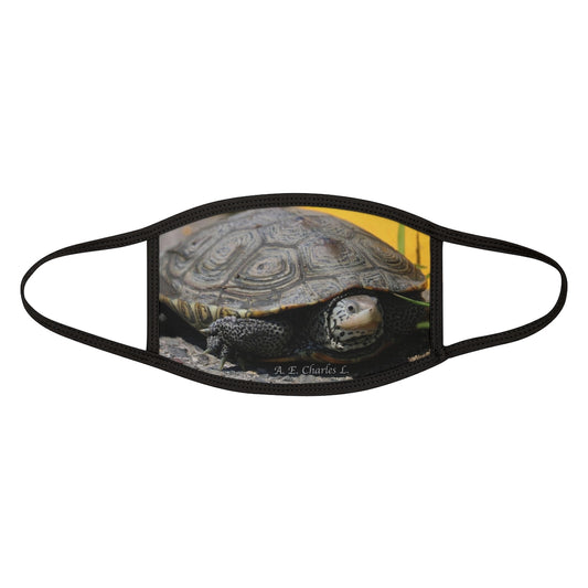 Mixed-Fabric Face Mask NJ Turtle Crossing