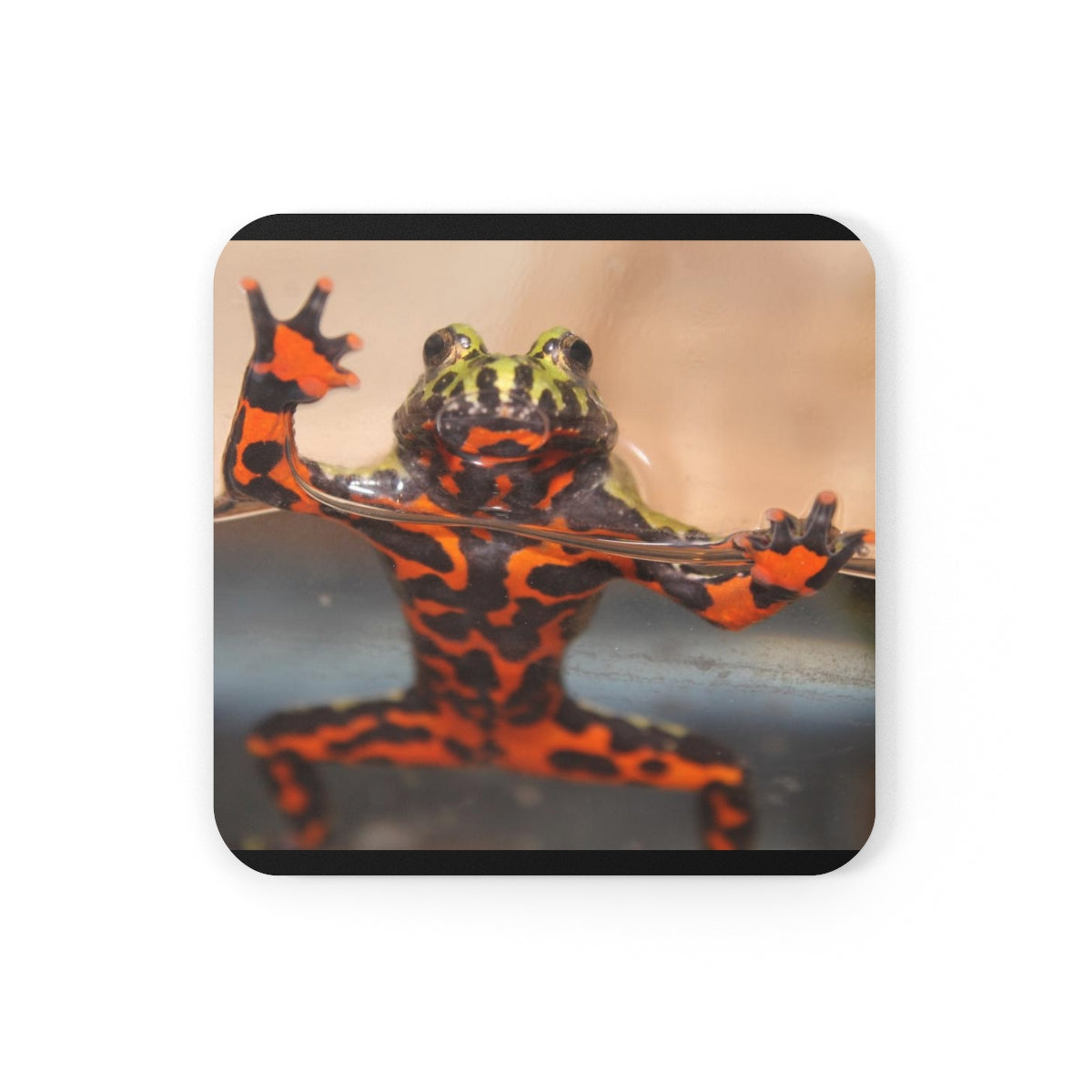 NN Cork Back Coaster Hello Fire Belly Frog