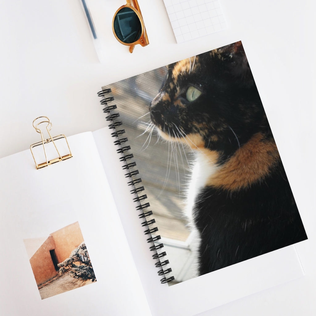 NN Spiral Notebook - Ruled Line (BD) Black Cat (P)