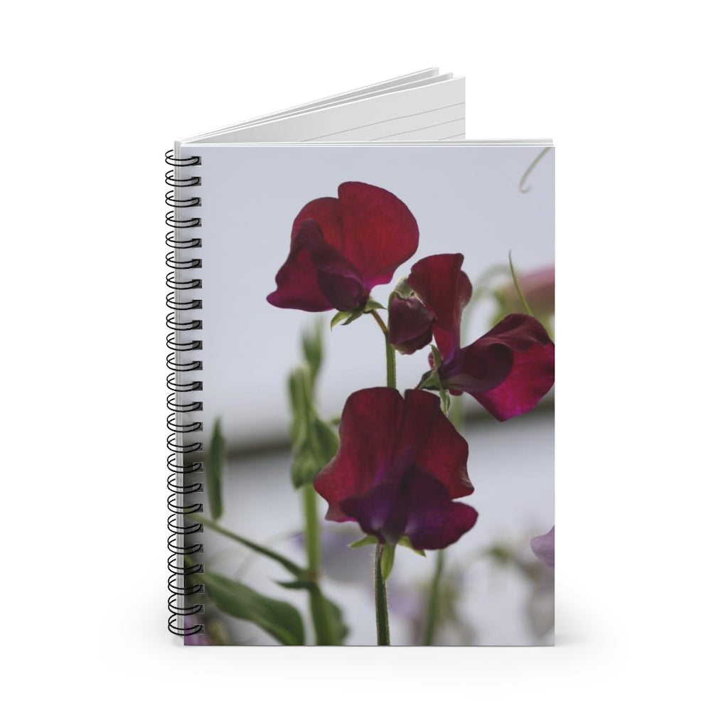 NN Spiral Notebook - Ruled Line Few Maroon Flowers