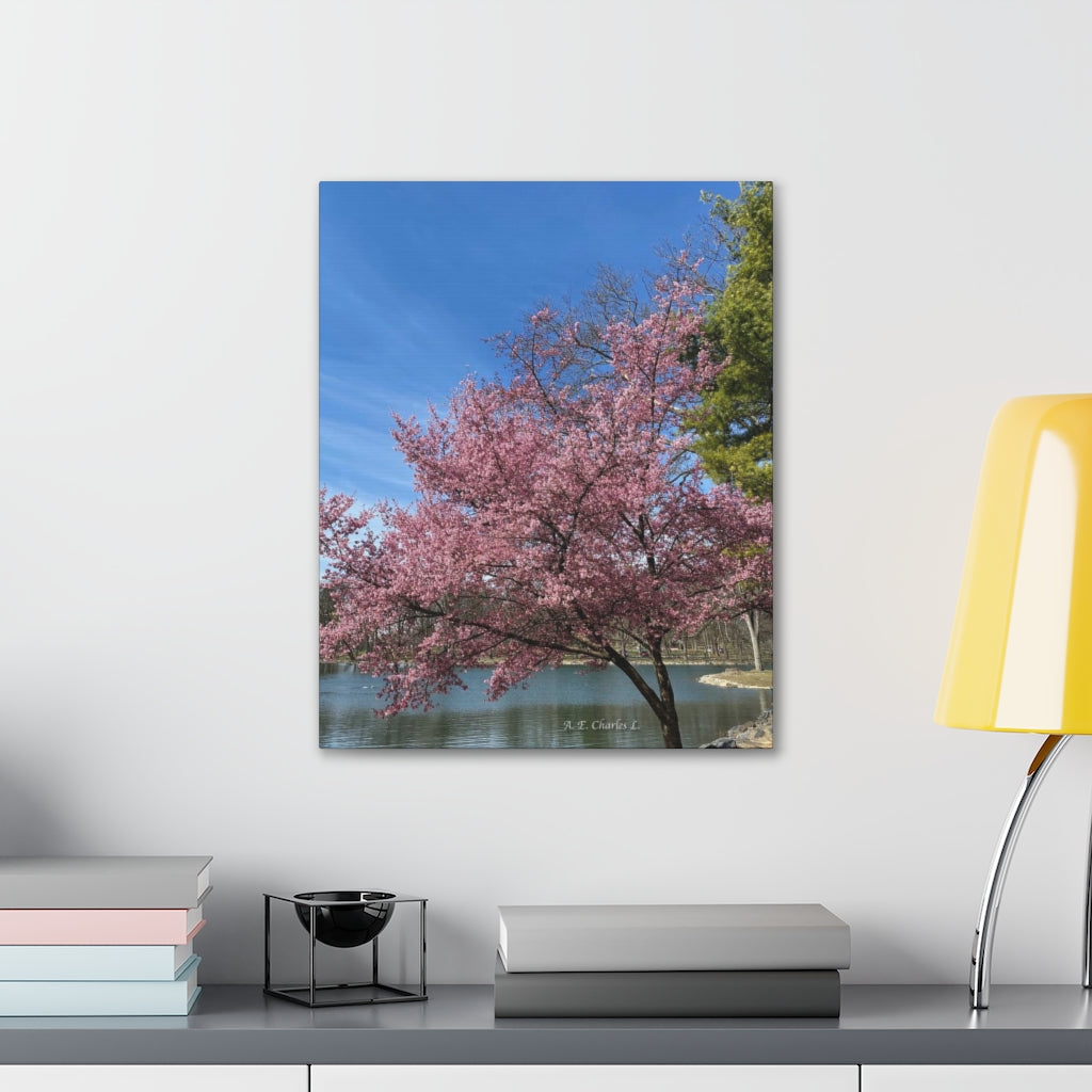 Canvas Gallery Wraps (LP) Pink Tree & Water