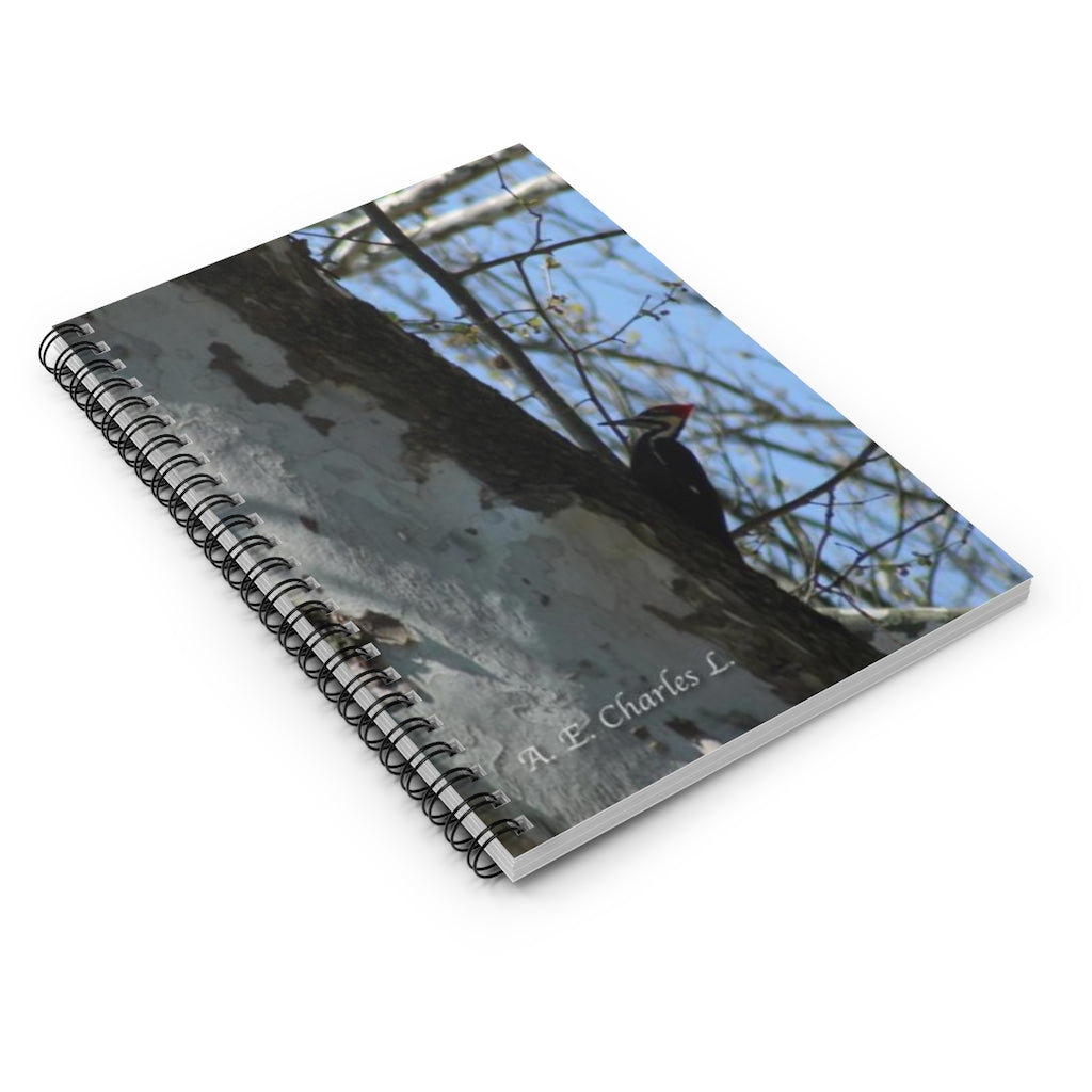 Spiral Notebook - Ruled Line May Be Pileated Woodpecker