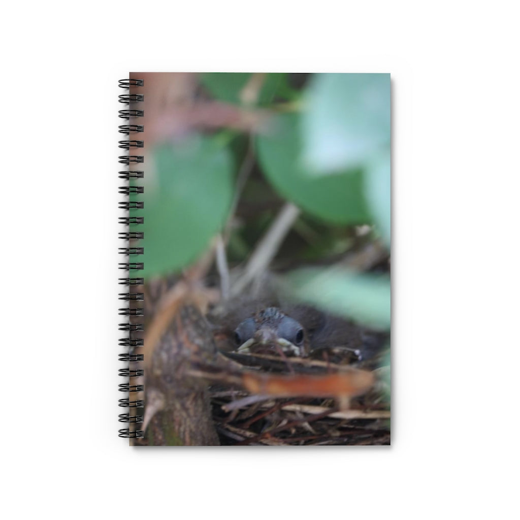 NN Spiral Notebook - Ruled Line Baby Birds