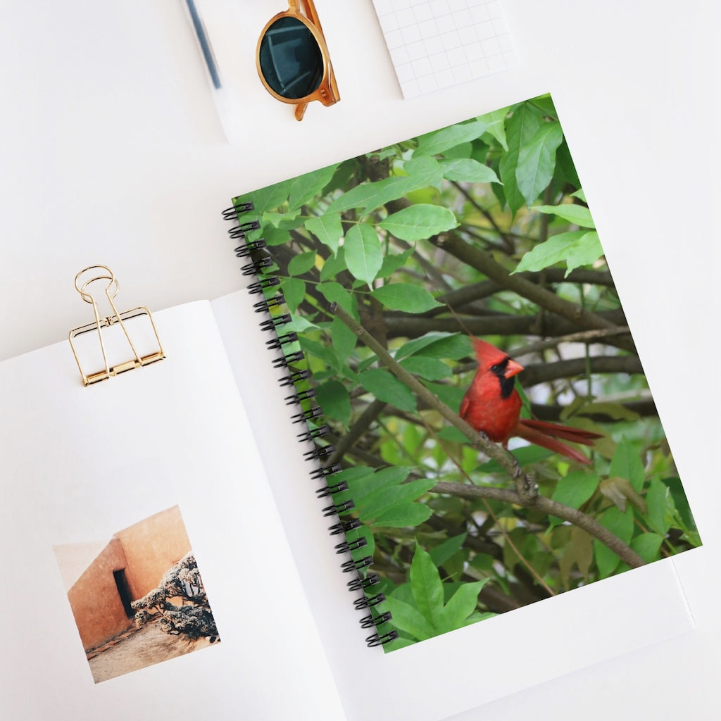 NN Spiral Notebook - Ruled Line Cardinal Fantail (W)