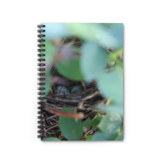 NN Spiral Notebook - Ruled Line Cardinal Eggs