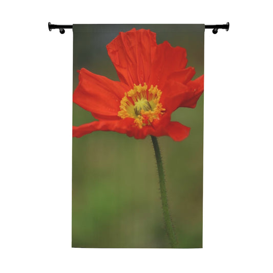 NN Window Curtains (1 Piece) Orange Flower