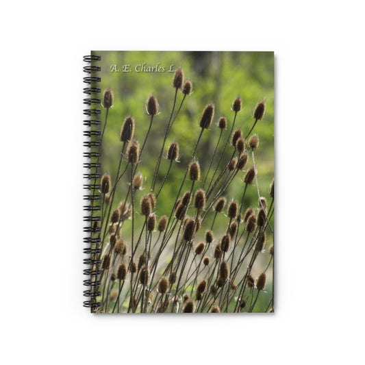 Spiral Notebook - Ruled Line Little Browns