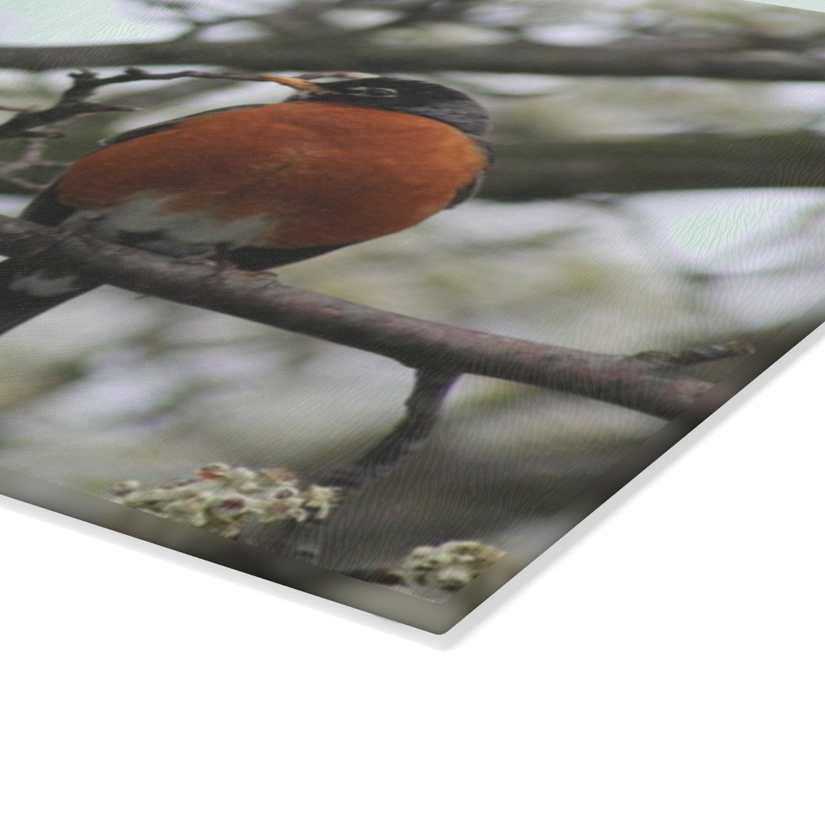 NN Glass Cutting Board Robin (IOT)