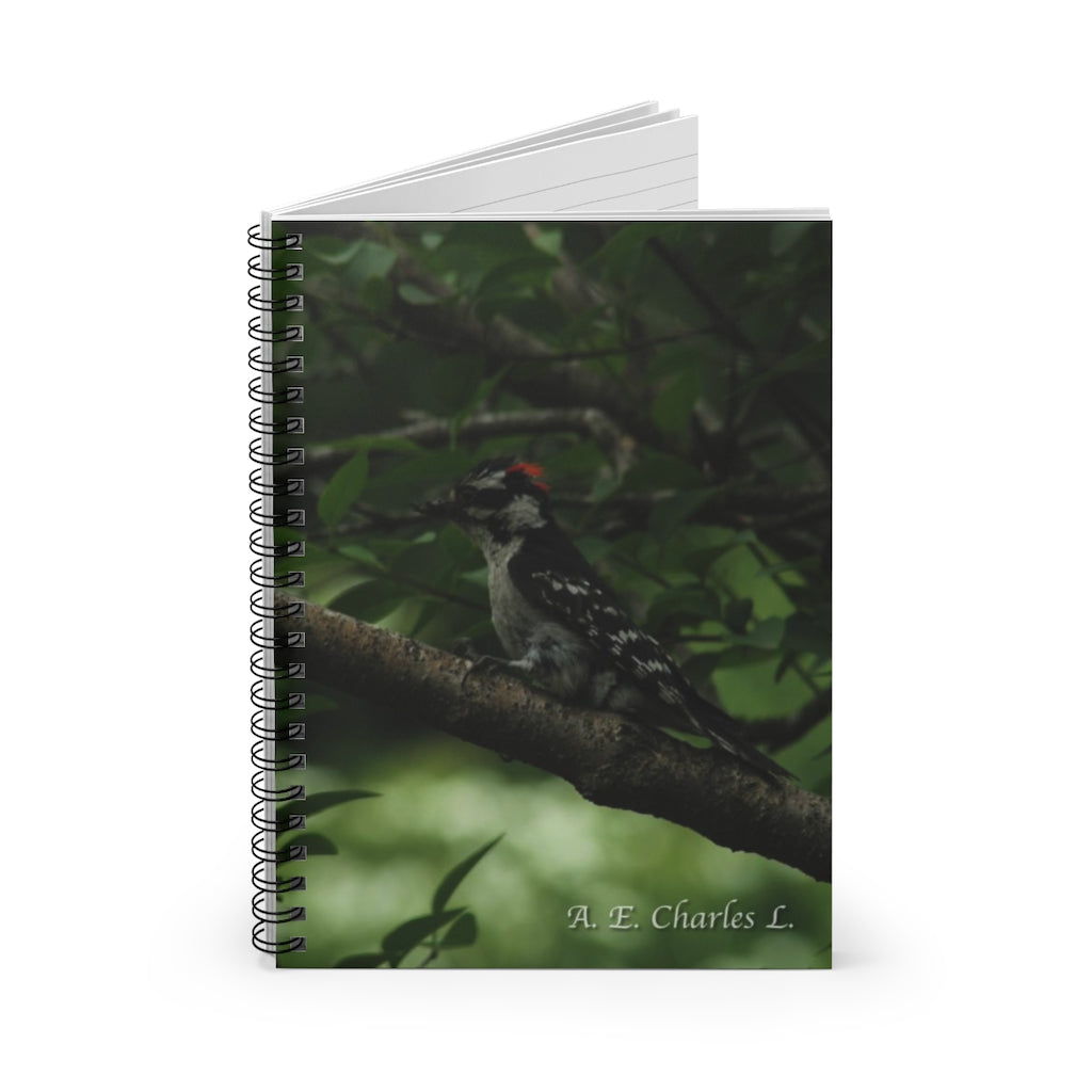 Spiral Notebook - Ruled Line May Be A Hairy Woodpecker