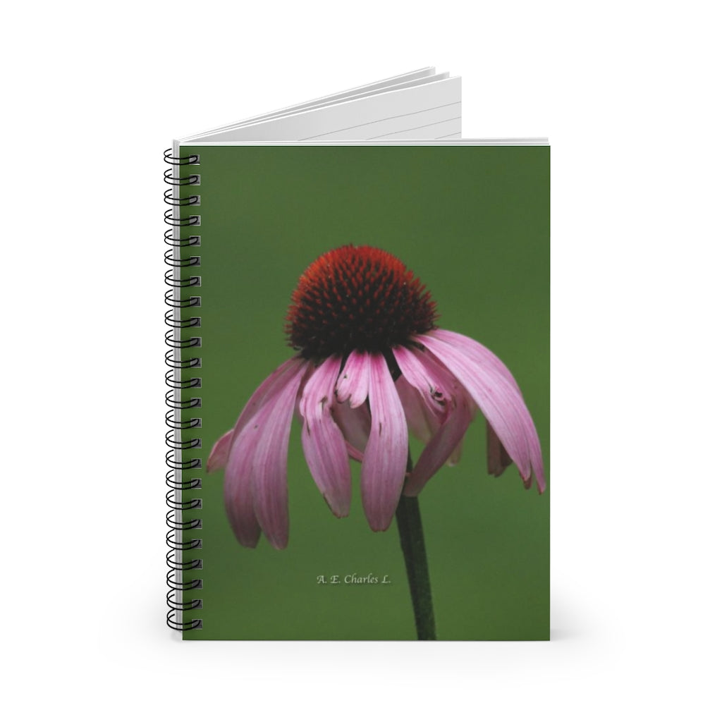 Spiral Notebook - Ruled Line Pink BES