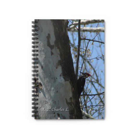 Spiral Notebook - Ruled Line May Be Pileated Woodpecker