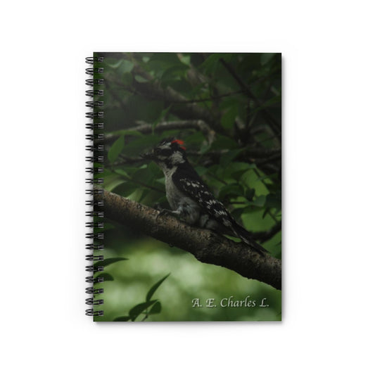 Spiral Notebook - Ruled Line May Be A Hairy Woodpecker