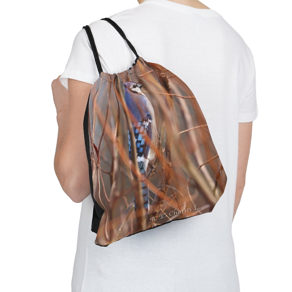 Outdoor Drawstring Bag Blue Jay