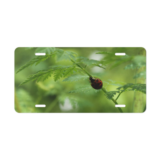 NN Vanity Plate Ladybug