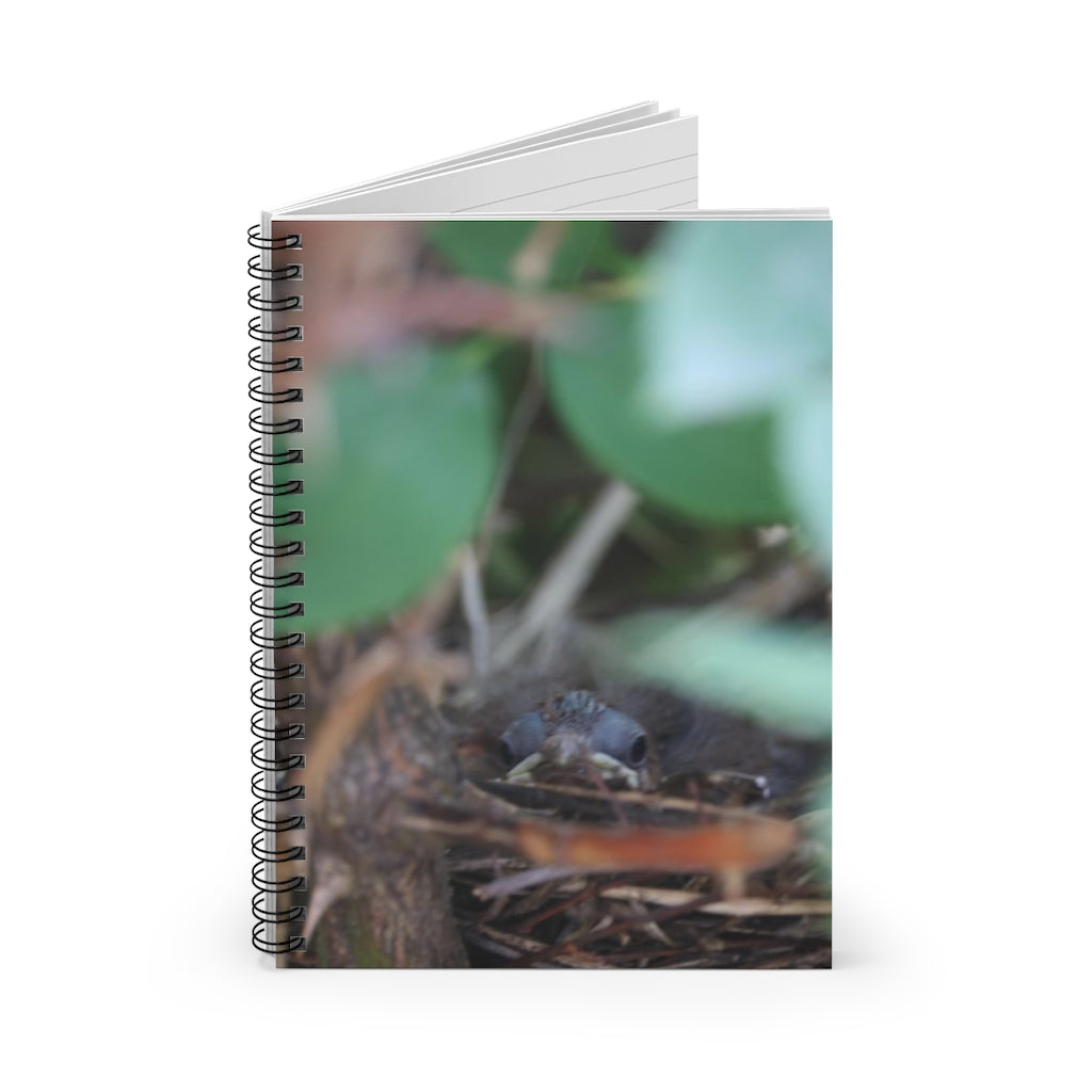 NN Spiral Notebook - Ruled Line Baby Birds