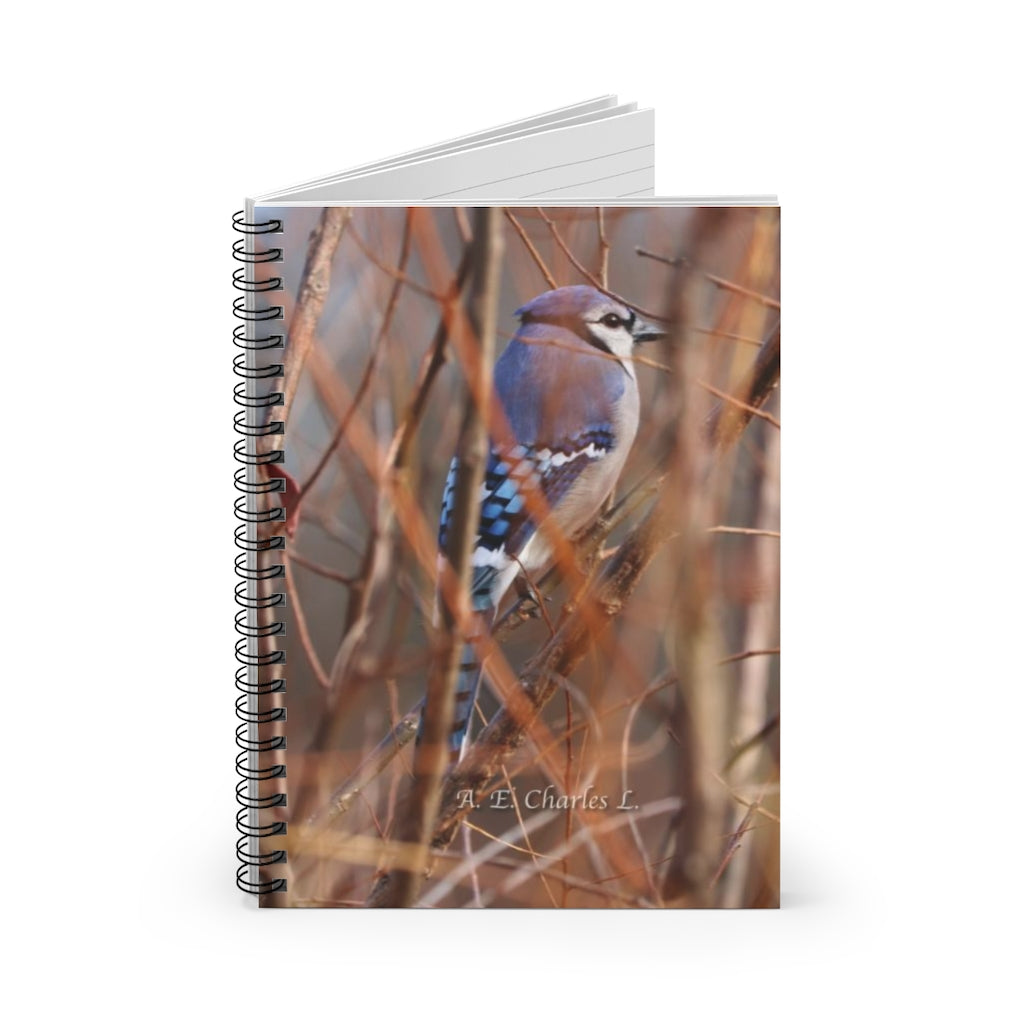 Spiral Notebook - Ruled Line Blue Jay