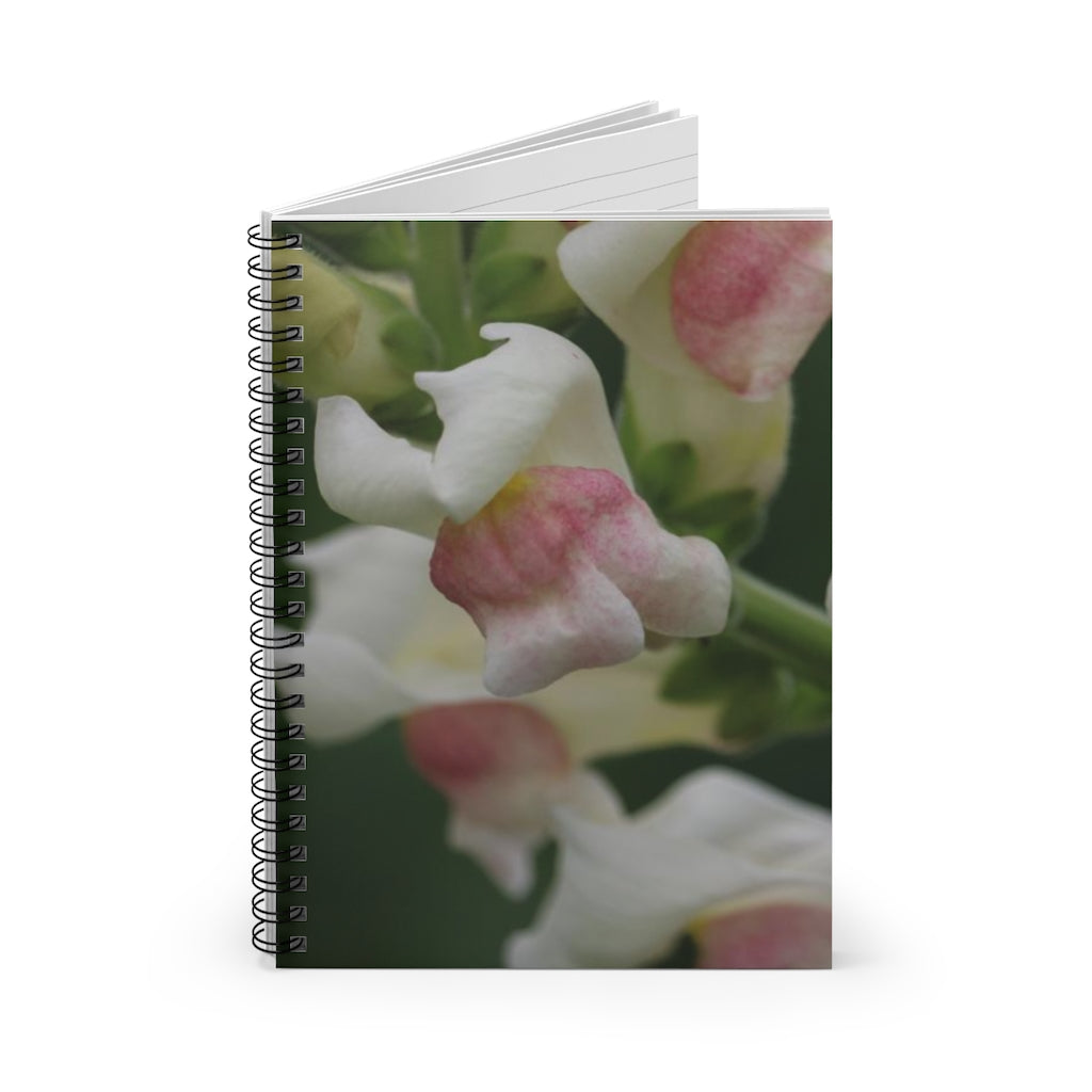 NN Spiral Notebook - Ruled Line White & Pinks