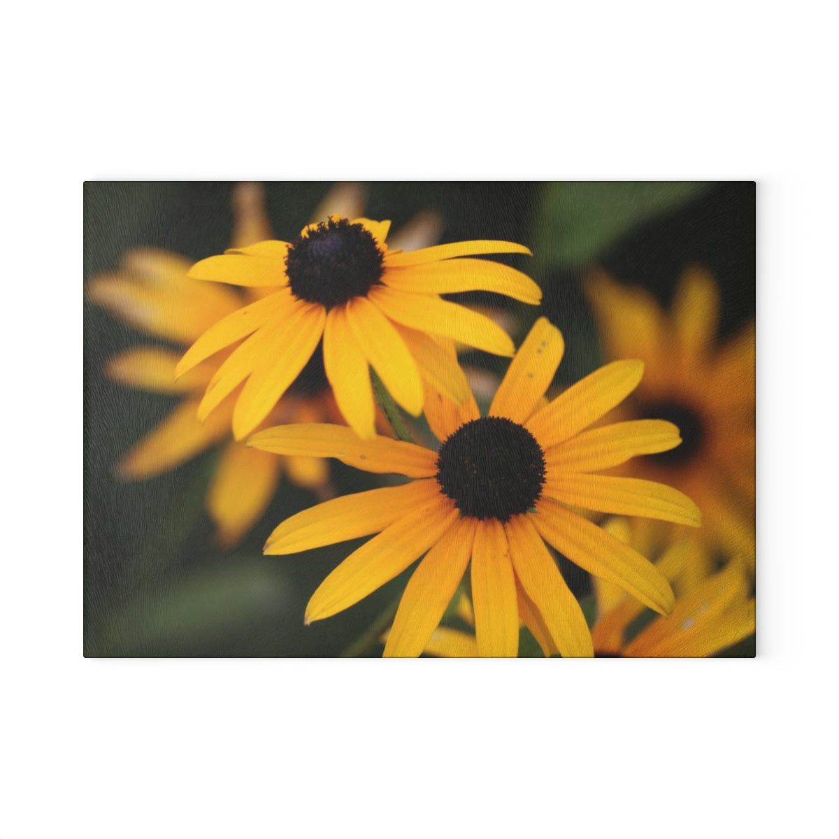 NN Glass Cutting Board 2 Black Eyed Susans