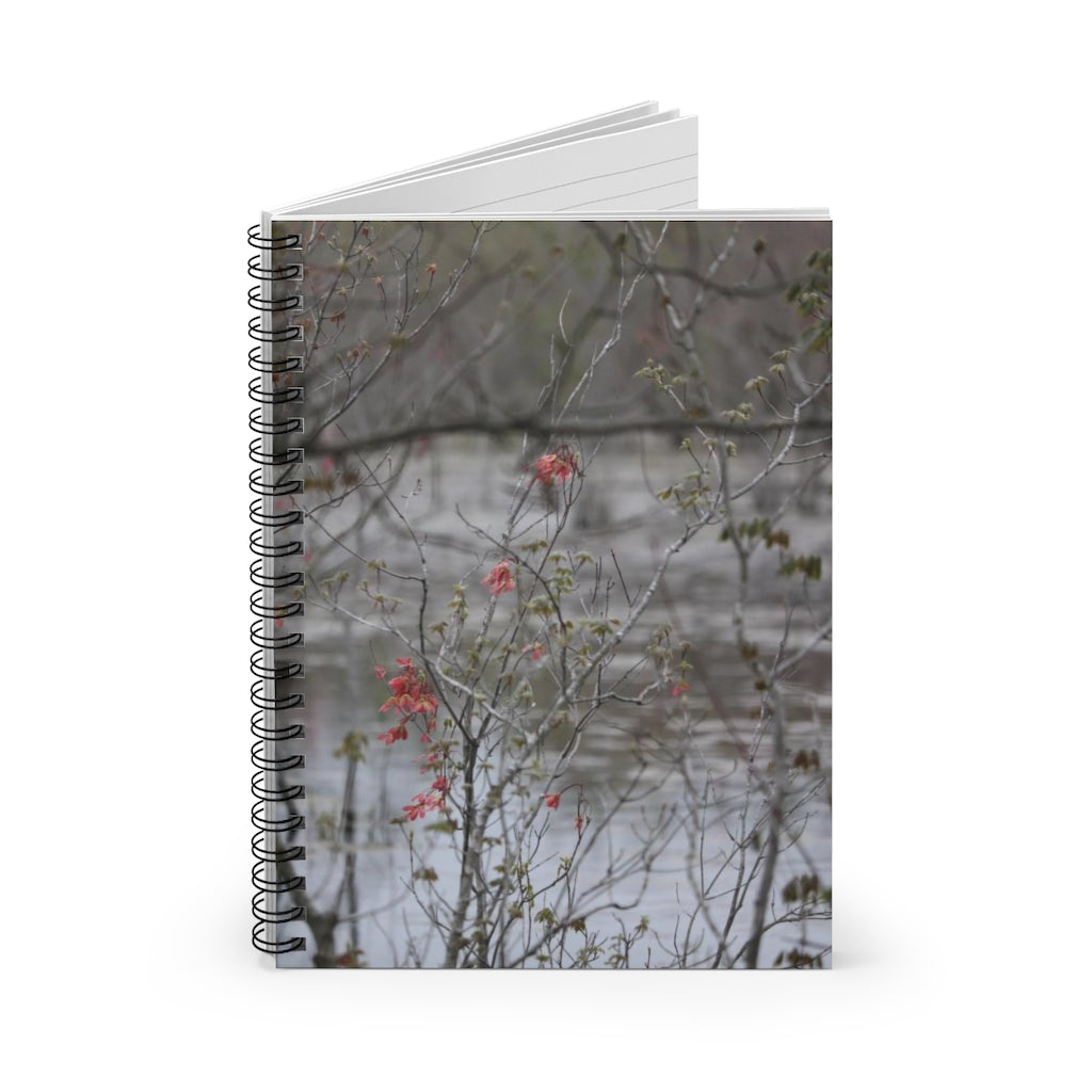 NN Spiral Notebook - Ruled Line Tiny Reds & Greens Sticks & Water