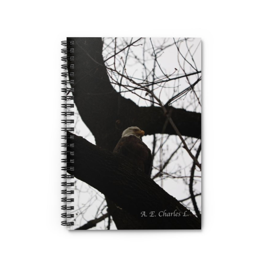 Spiral Notebook - Ruled Line Bald Eagle (CD)