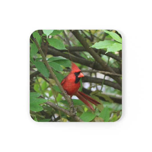 NN Cork Back Coaster Cardinal Fantail (W)