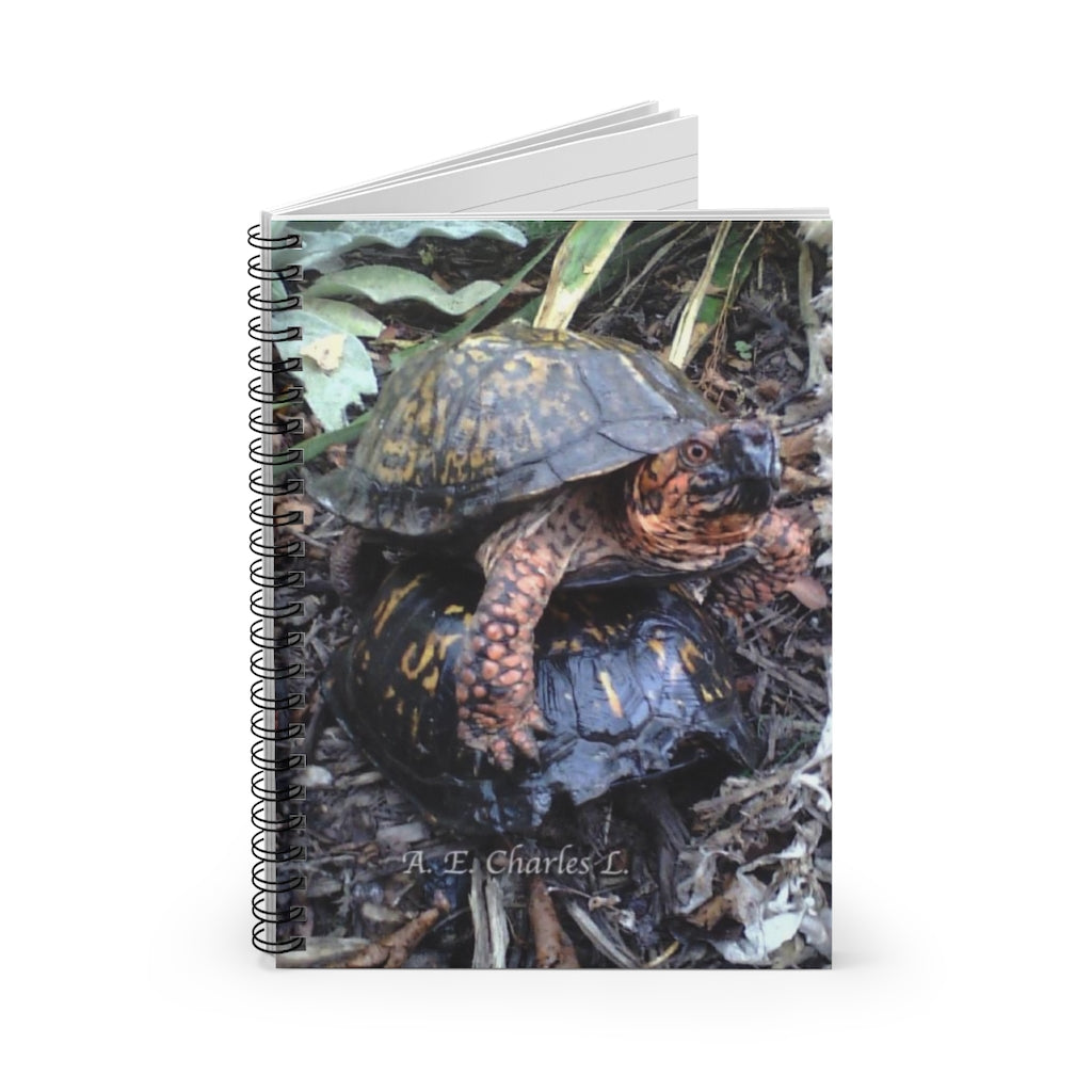 Spiral Notebook - Ruled Line Turtle Back Ride