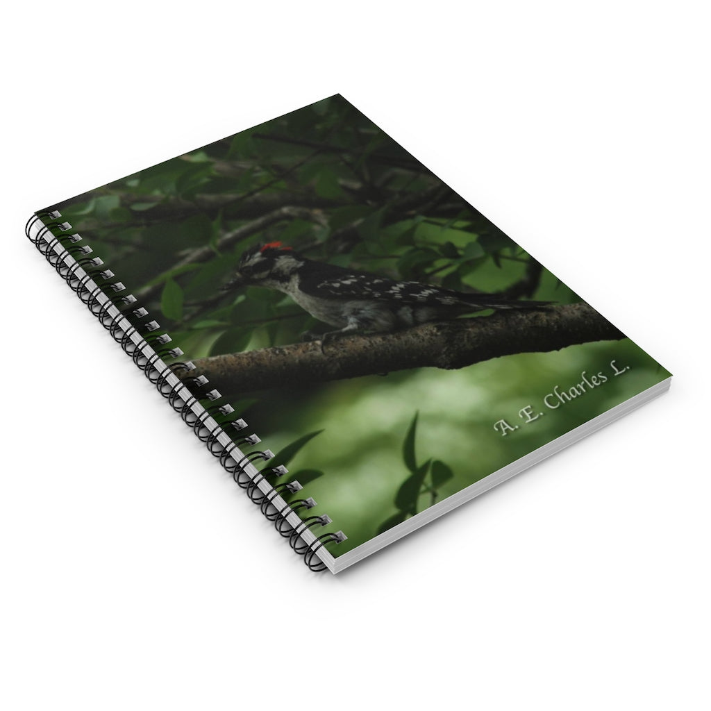 Spiral Notebook - Ruled Line May Be A Hairy Woodpecker