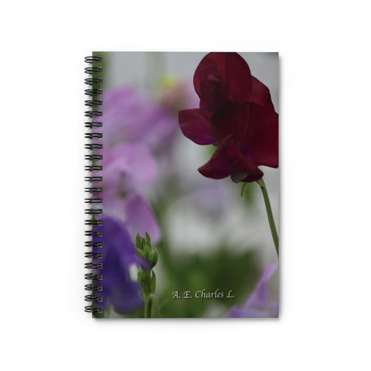 Spiral Notebook - Ruled Line Maroon & Purples