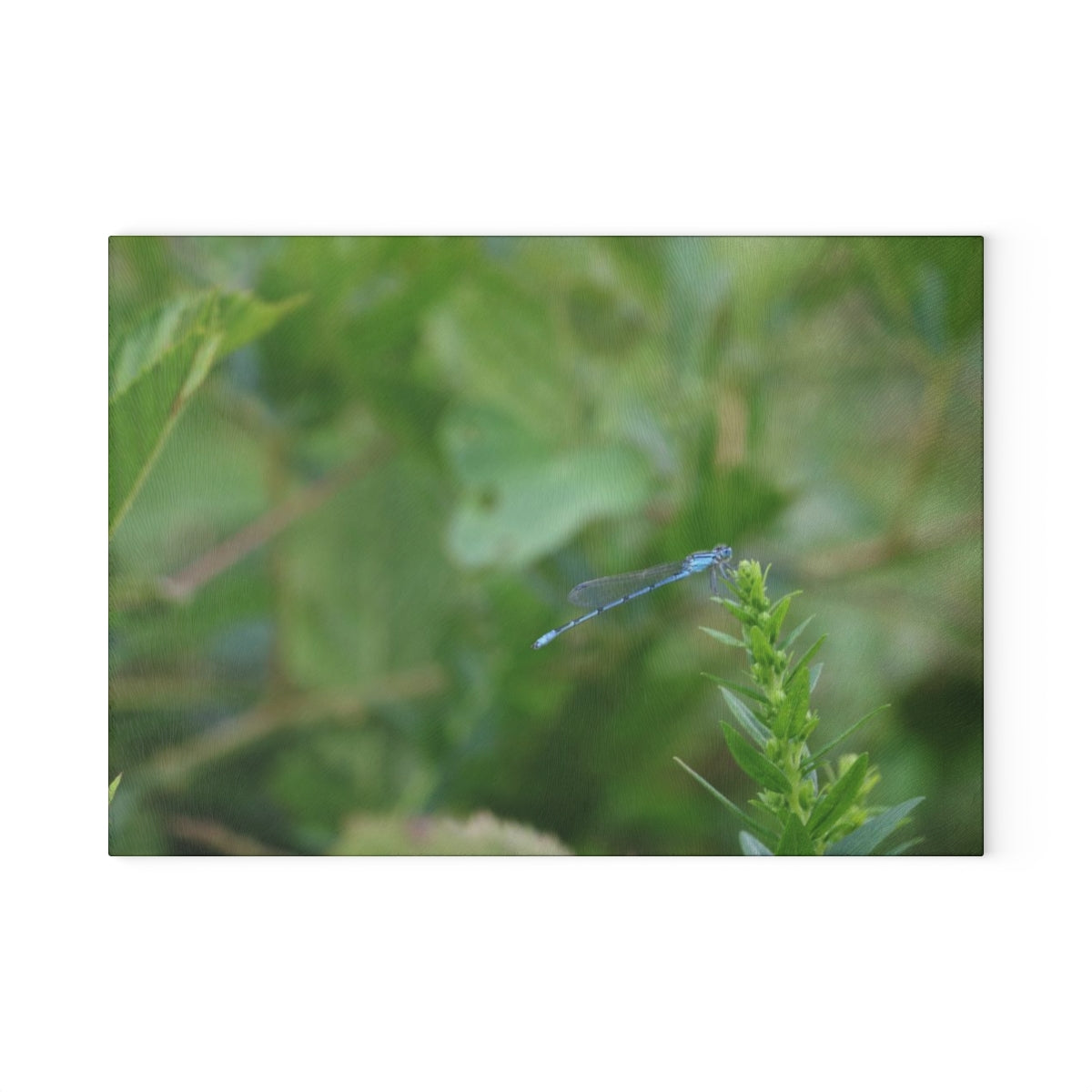 NN Glass Cutting Board Cool Blue Bug