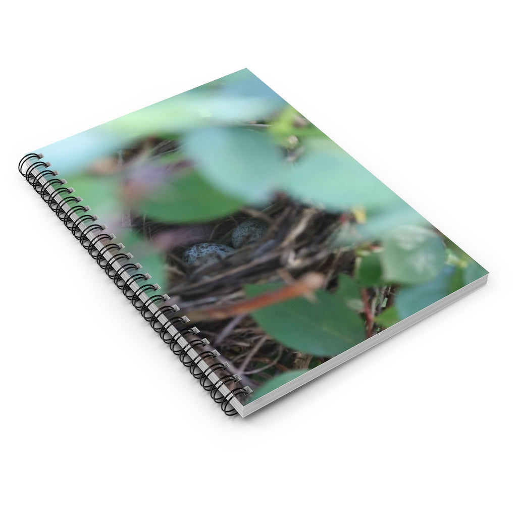 NN Spiral Notebook - Ruled Line Cardinal Eggs