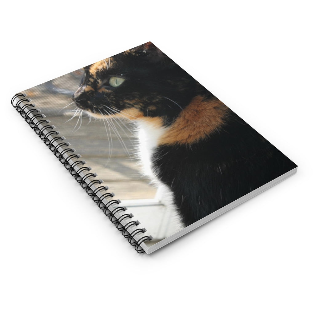 NN Spiral Notebook - Ruled Line (BD) Black Cat (P)