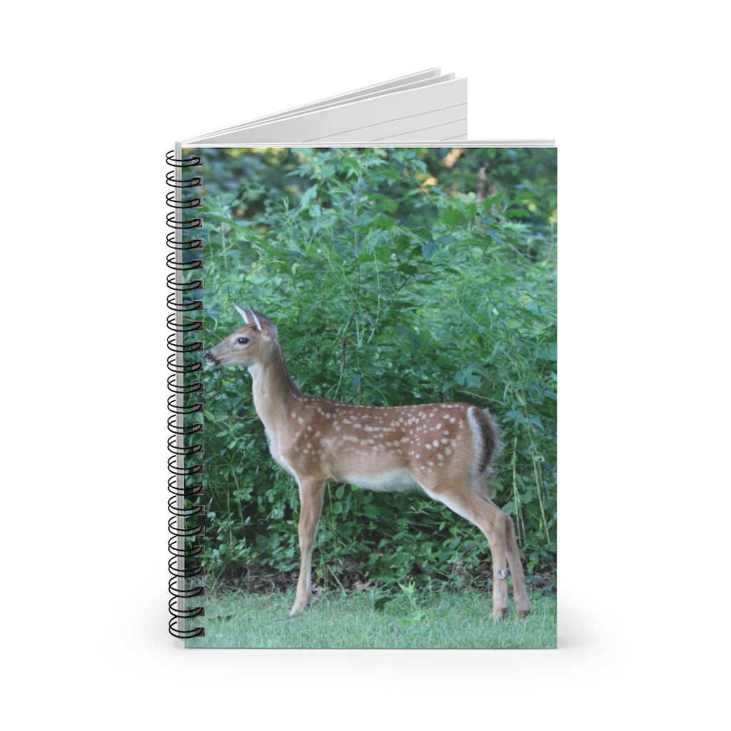 NN Spiral Notebook - Ruled Line One Tall Fawn