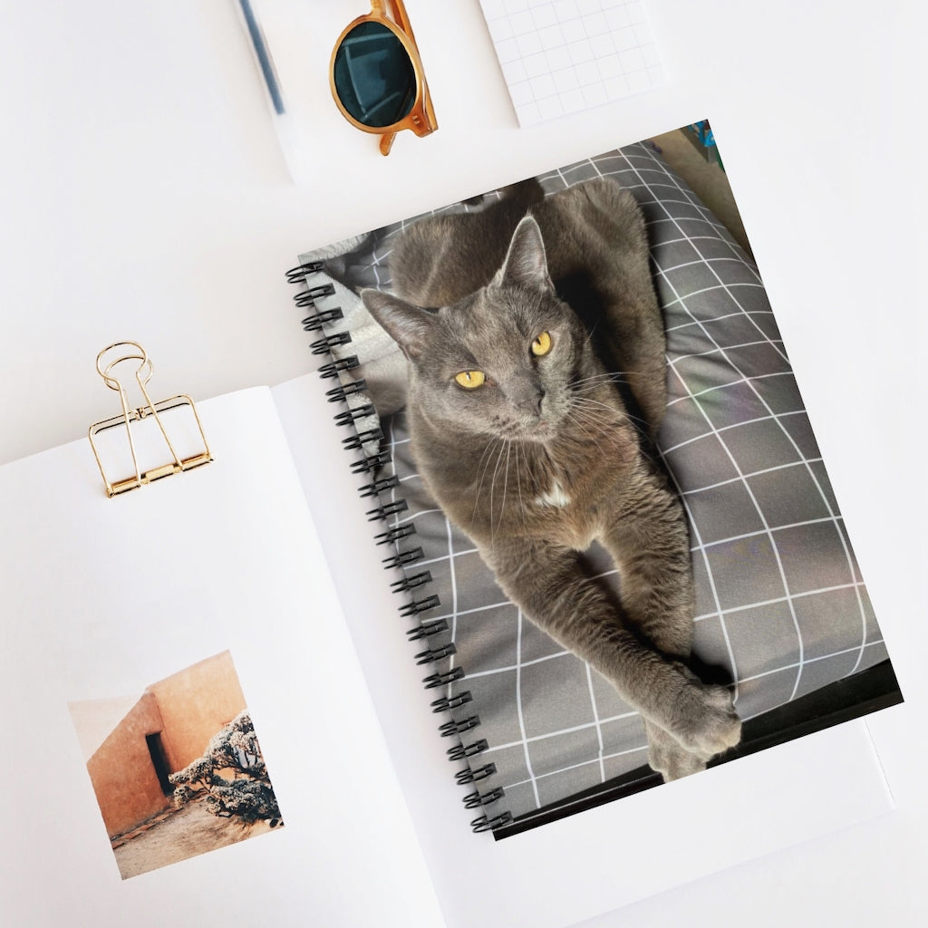 NN Spiral Notebook - Ruled Line Grey Resting Cat (B)