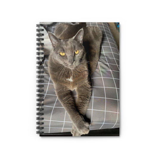 NN Spiral Notebook - Ruled Line Grey Resting Cat (B)