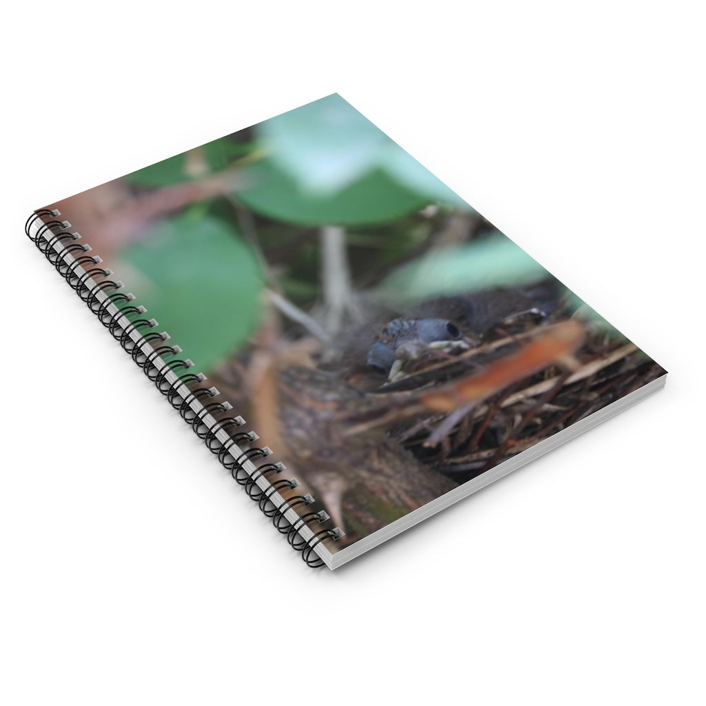 NN Spiral Notebook - Ruled Line Baby Birds