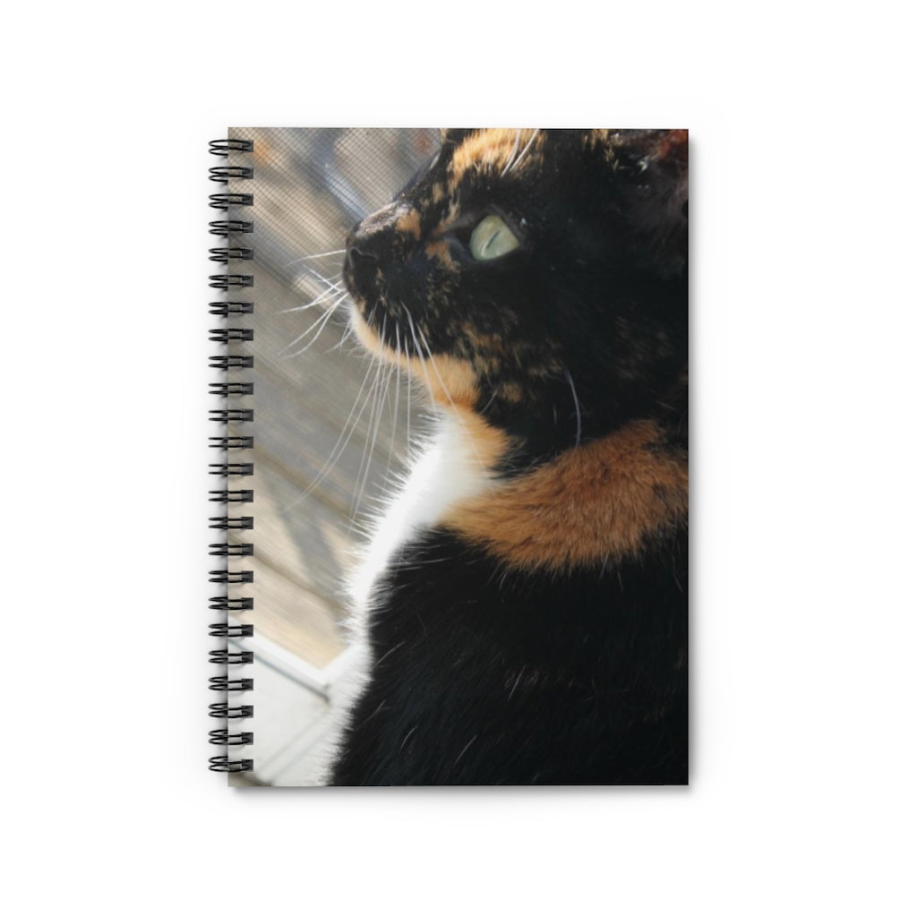 NN Spiral Notebook - Ruled Line (BD) Black Cat (P)